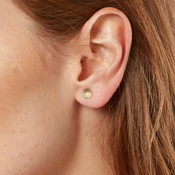 A pair of gold earrings featuring a spiral pattern with a satin finish, displayed against a white background.